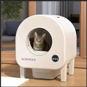 cab43678-1f94-4a19-8d51-045f15ffa4ff-300x300